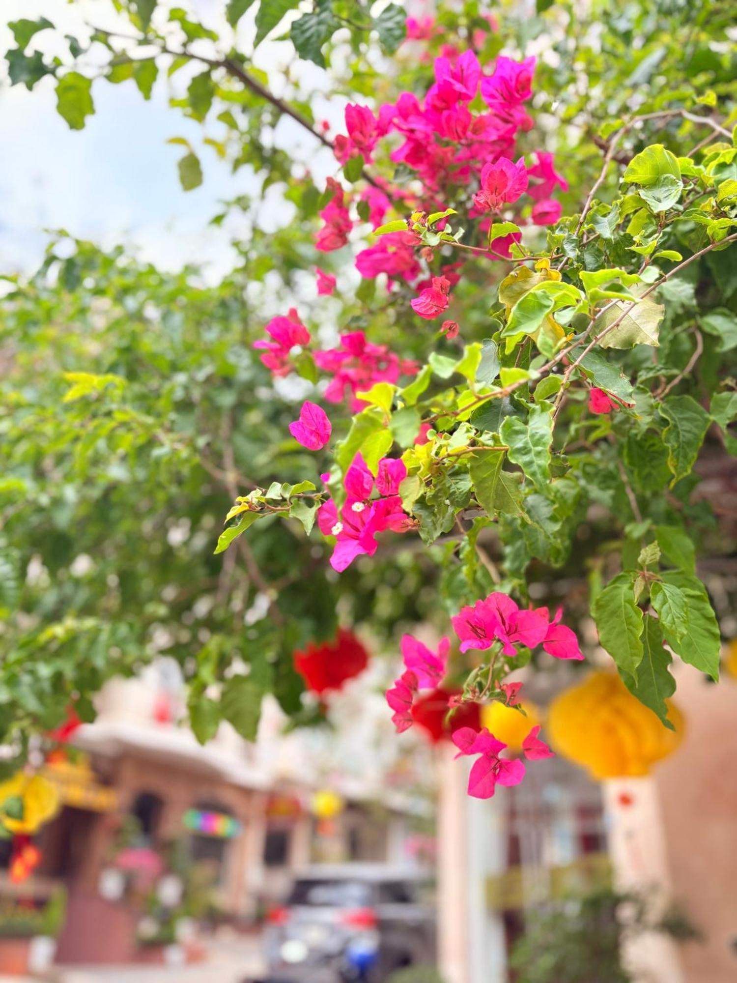 Khách Sạn Mỹ Hằng Da Lat Esterno foto